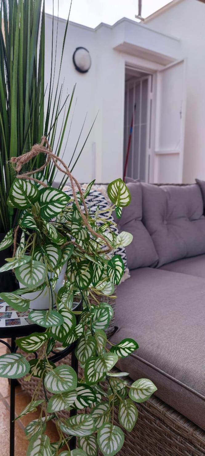 Apartamento Casa De Alba Cabo Cervera La Mata Торевиеха Екстериор снимка