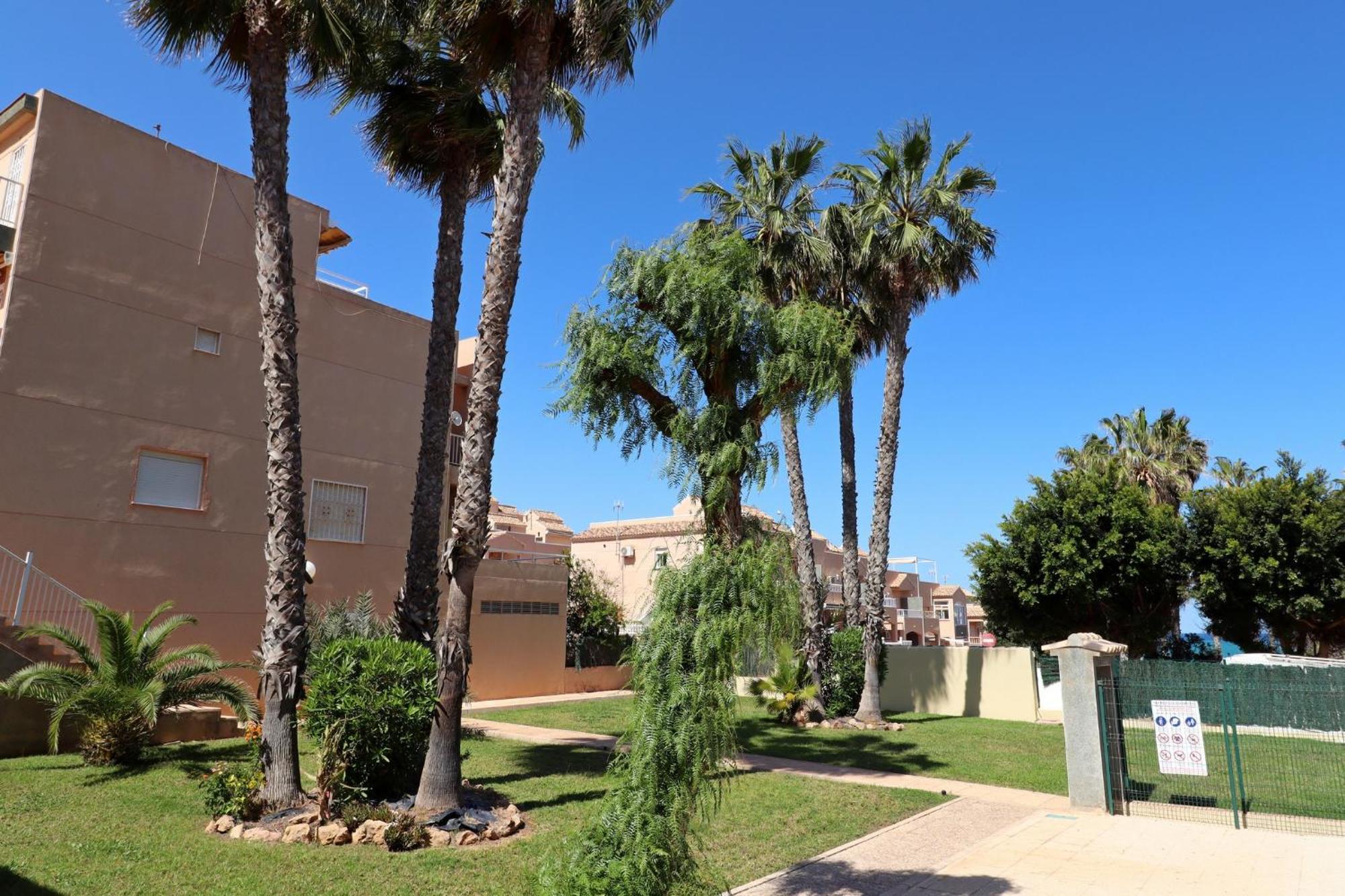 Apartamento Casa De Alba Cabo Cervera La Mata Торевиеха Екстериор снимка